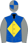 Royal blue, yellow diamond, grey sleeves, grey and royal blue quartered cap