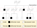 Minijatura za inačicu od 00:18, 17. ožujak 2008.