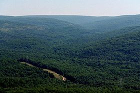 Vue du mont Taum Sauk.