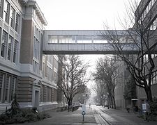 Tracks near Lincoln Hall