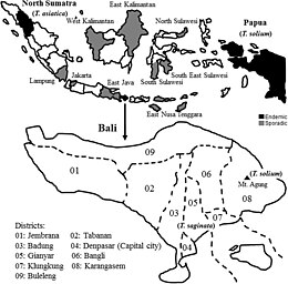 Map showing areas where T. solium is endemic