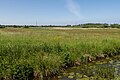 tussen Peize en Haren, natuurgebied de Onlanden