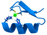 The zinc finger motif, which is found in transcription factors.