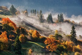 Paysage du nord de la réserve de biosphère des Carpates, près de Rakhiv. Octobre 2014.