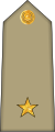 Sous lieutenant (Arabic: ملازم, romanized: Mulazim) (Algerian Land Forces)[1]