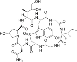 Image illustrative de l’article Alpha-Amanitine