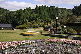 Jardin botanique.