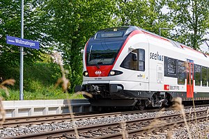 Seehas at Konstanz-Wollmatingen station