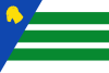 Bandeira de El Buste