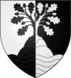 Blason de Saint-Julien-lès-Metz