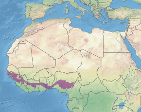 Description de l'image Ecoregion AT0707.svg.