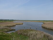 Farlington Marshes