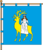 Flag of Olenivka