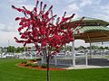 The Small Pavilion at Harbor View Marina