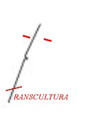 logo de Transcultura