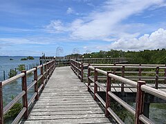 Masbate Mangrovetum boardwalk 3