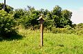 Former cemetery site