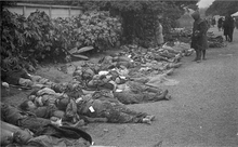 Black and white photograph of numerous bodies dressed in civilian clothing lying on a park
