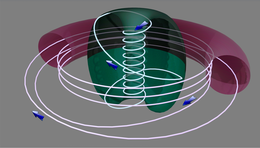 schém& 2 : trajectoire d'une particule d'un plasma de tokamak sphérique vs tokamak torique