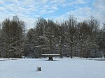 Le carrefour de la Table, au centre de la forêt en hiver.