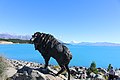 Statue of the Himalayan Tahr, introduced to New Zealand in 1904