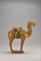 Tang dynasty earhtenware bactrian camel