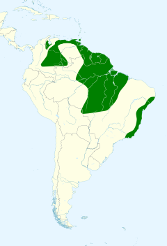 Distribuição do sabiá-da-mata na América do Sul