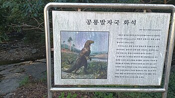 화석산지 안내판 북위 35° 50′ 38.9″ 동경 128° 57′ 00.9″﻿ / ﻿북위 35.844139° 동경 128.950250° ﻿ / 35.844139; 128.950250