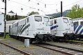 Two Class 151 locomotives of Lokomotion