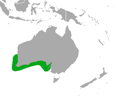 Distribuição do leão-marinho-australiano