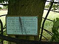 Commemorative plaque on the third generation oak planted in 1951.