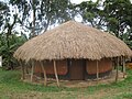 Hutte Busoga