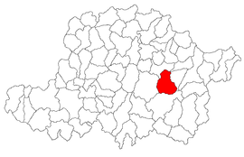 Location in Arad County