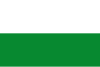 Flag of Aranzazu, Caldas