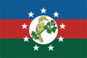 Bandeira de Chim