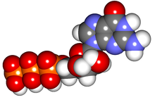 Image illustrative de l’article Guanosine triphosphate