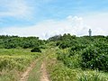 島中心部（中央に鳩間中森、右側に灯台が見える）