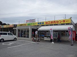 道の駅ぎのざ