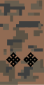 Lieutenant shoulder board, 2011 style camouflage pattern.