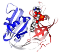 Erythrocytic methemoglobin reductase with FAD bound