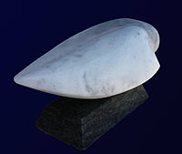 "Nautilus" - Marble "Venčac", 2015