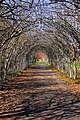 Parken vid Ängsö slott