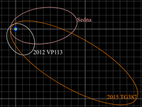The orbits of the three known sednoids: 90377 Sedna, 2012 VP113, and Leleākūhonua