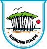 Official logo of Golem