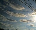 Stratocumulus lenticularis.