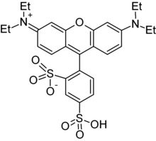 Sulforhodamine B