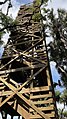 The Canopy Walk at Myakka River State Park