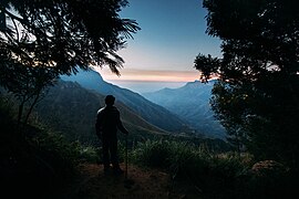 Les montagnes des Ghats occidentaux, dans le sud du pays, sont un paradis pour les amoureux de la nature et les trekkeurs.