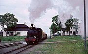 BLJ 5 med tåg vid Stjärnsunds station, 1965