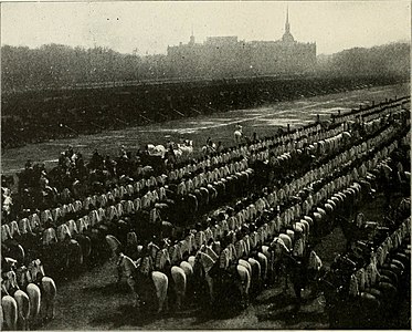 Императорский кортеж проезжает перед военными частями. Фотограф Анаклет Пазетти.